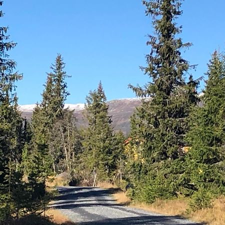 Sykkelhytte Ved Slatten I Synnfjellet Nord Torpa Екстер'єр фото
